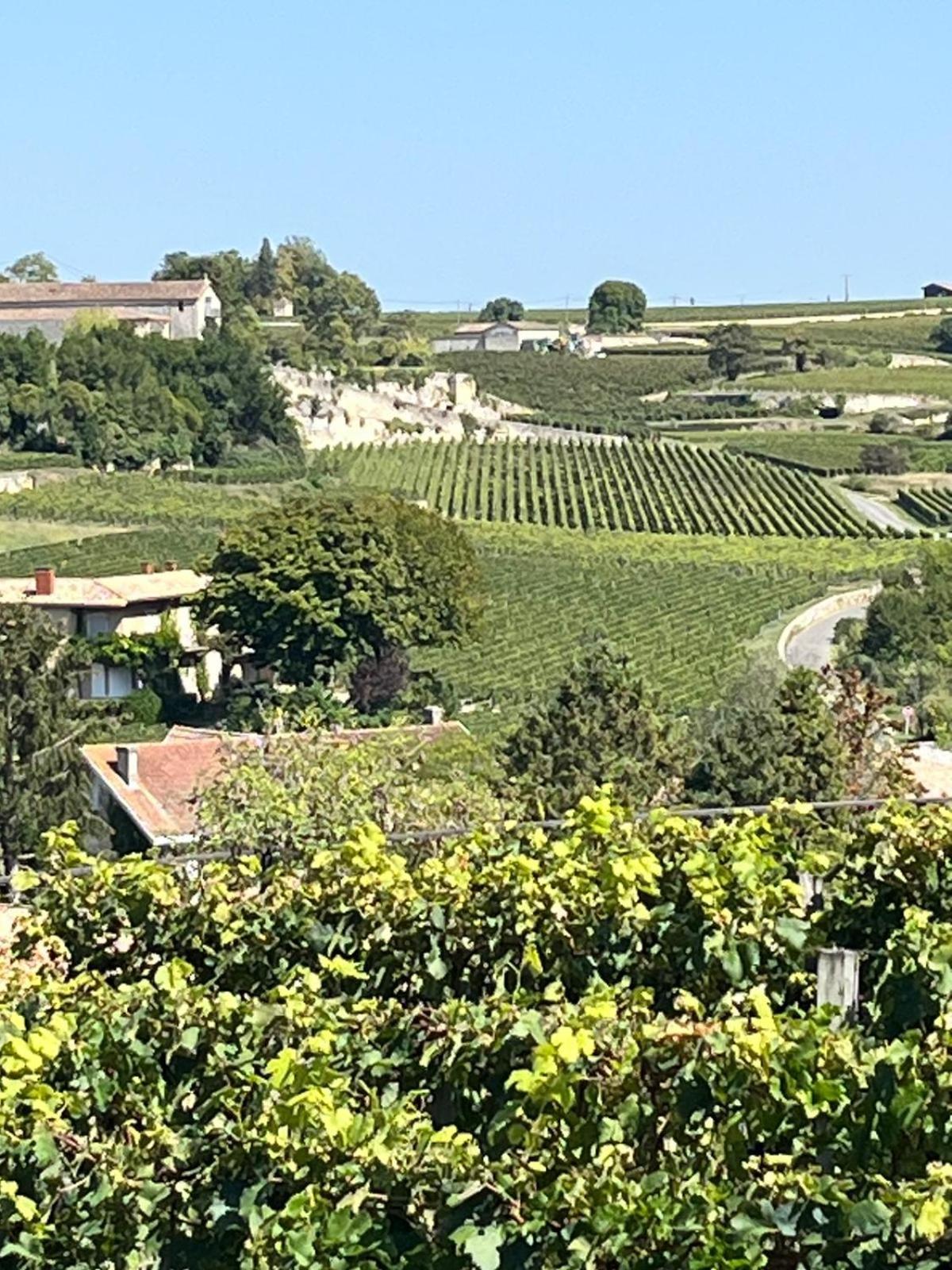 Апартаменты Les Logis Des Vignobles Saint Emilion En Duplex N 2 Avec Terrasse Экстерьер фото